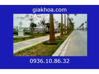 Bó vỉa bê tông 18x22x100cm hay bó vỉa 18x22